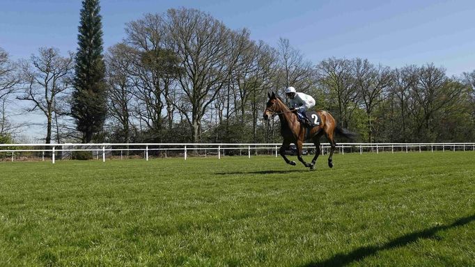 Jockey William Buick passes an imitation cypress tree that disguises a mobile connectivity mast, on the Old Mile at the Ascot racecourse in Berkshire, southern England May 1, 2013. Britain's government plan to relax rules in England to make it easier for telecommunication companies to install mobile connectivity masts up to 18-feet-tall (5.48 metres). Ministers want to improve mobile communications in rural areas and speed up the roll out of 4G. There are currently some 51,000 masts in Britain. Photograph taken May 1, 2013. REUTERS/Olivia Harris REUTERS/Olivia Harris (BRITAIN - Tags: BUSINESS POLITICS TELECOMS) Published: Kvě. 14, 2013, 8:53 dop.