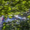 Barum rallye 2016: Lukasz Habaj, Ford Fiesta R5