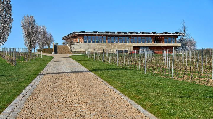 Chrámy vína. Moderní vinařství jižní Moravy lahodí všem smyslům; Zdroj foto: Shutterstock