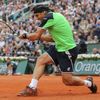 Tenis, French Open, finále: David Ferrer