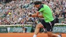 Tenis, French Open, finále: David Ferrer