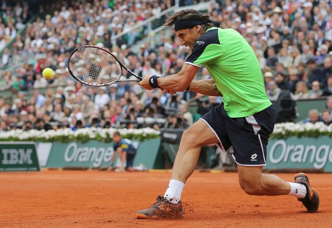 Tenis, French Open, finále: David Ferrer