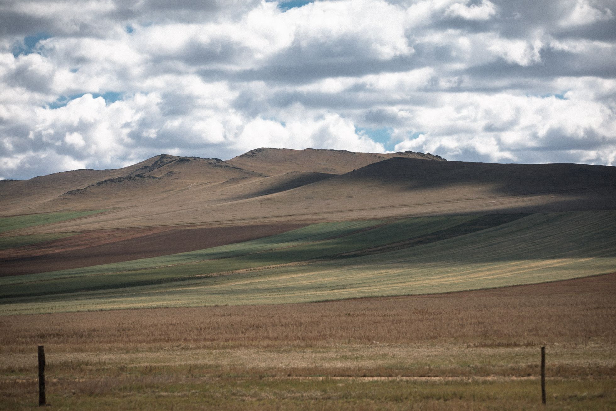 Mongolsko, mongolové, pastevci, pastevec, jurta, kůň, koně, poušť Gobi