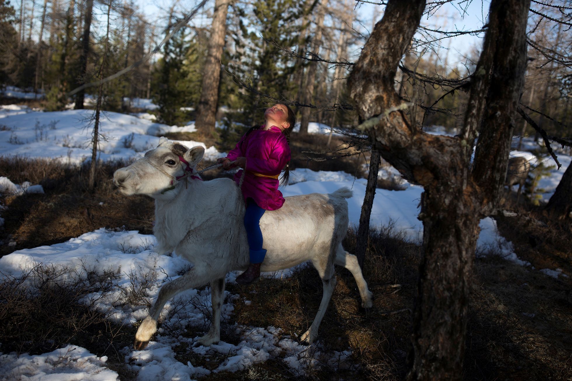 FOTOGALERIE / Život kočovných pastýřů v Mongolsku / Reuters / rok 2018 / 19