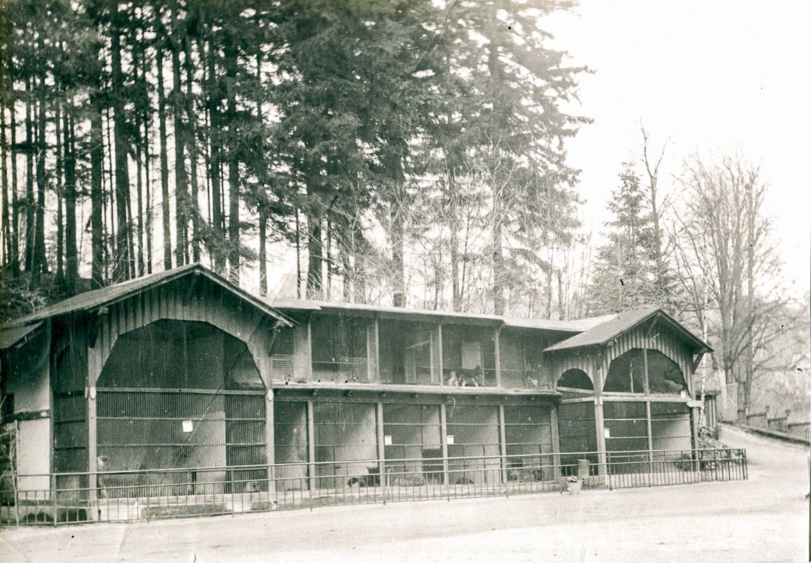 ZOO Liberec, zoo, zoologická zahrada, Liberec, historie, výročí, Domácí