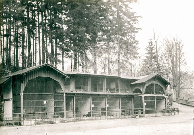 ZOO Liberec slaví 120 let od svého vzniku. Podívejte se na historické momenty a vývoj nejstarší zoologické zahrady v českých zemích od jejího založení v roce 1904.