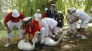 The Queen's Swan Marker David Barber (2L) and other Swan Uppers inspect swans and cygnets during the annual Swan Upping ceremony on the River Thames between Shepperton an