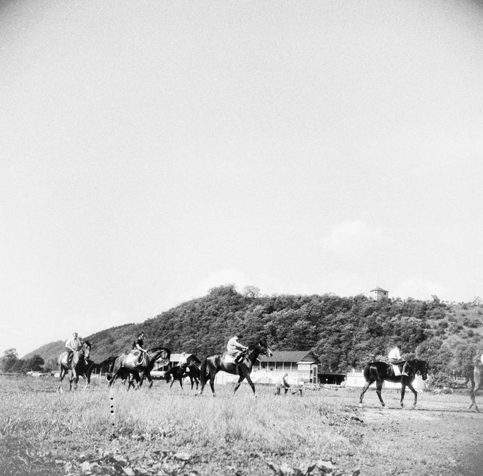 Výcvik jezdčíků (žokejů) na závodišti ve Velké Chuchli během praktického vyučování. Rok 1955