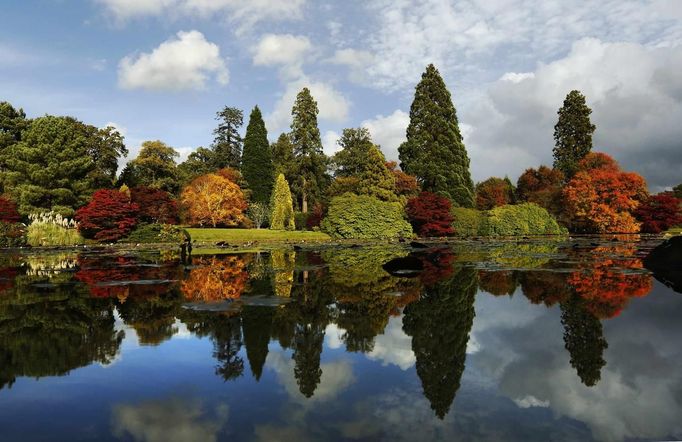 Changing autumn leaves are reflected in a pond in Sheffield Park Gardens near Haywards Heath in southern England October 17, 2012. REUTERS/Luke MacGregor (ENVIRONMENT) Published: Říj. 17, 2012, 3:19 odp.