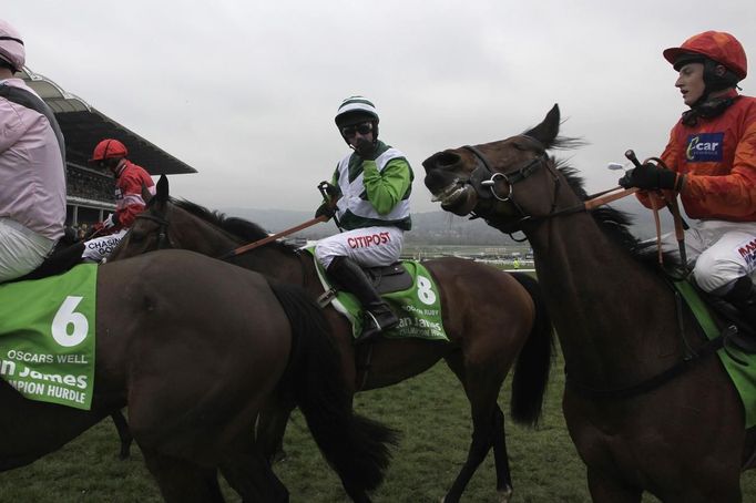 Noel Fehily (C), riding on Rock on Ruby, celebrates after winning the Champion Hurdle Challenge Trophy at the Cheltenham Festival horse racing meet in Gloucestershire, western England March 13, 2012.