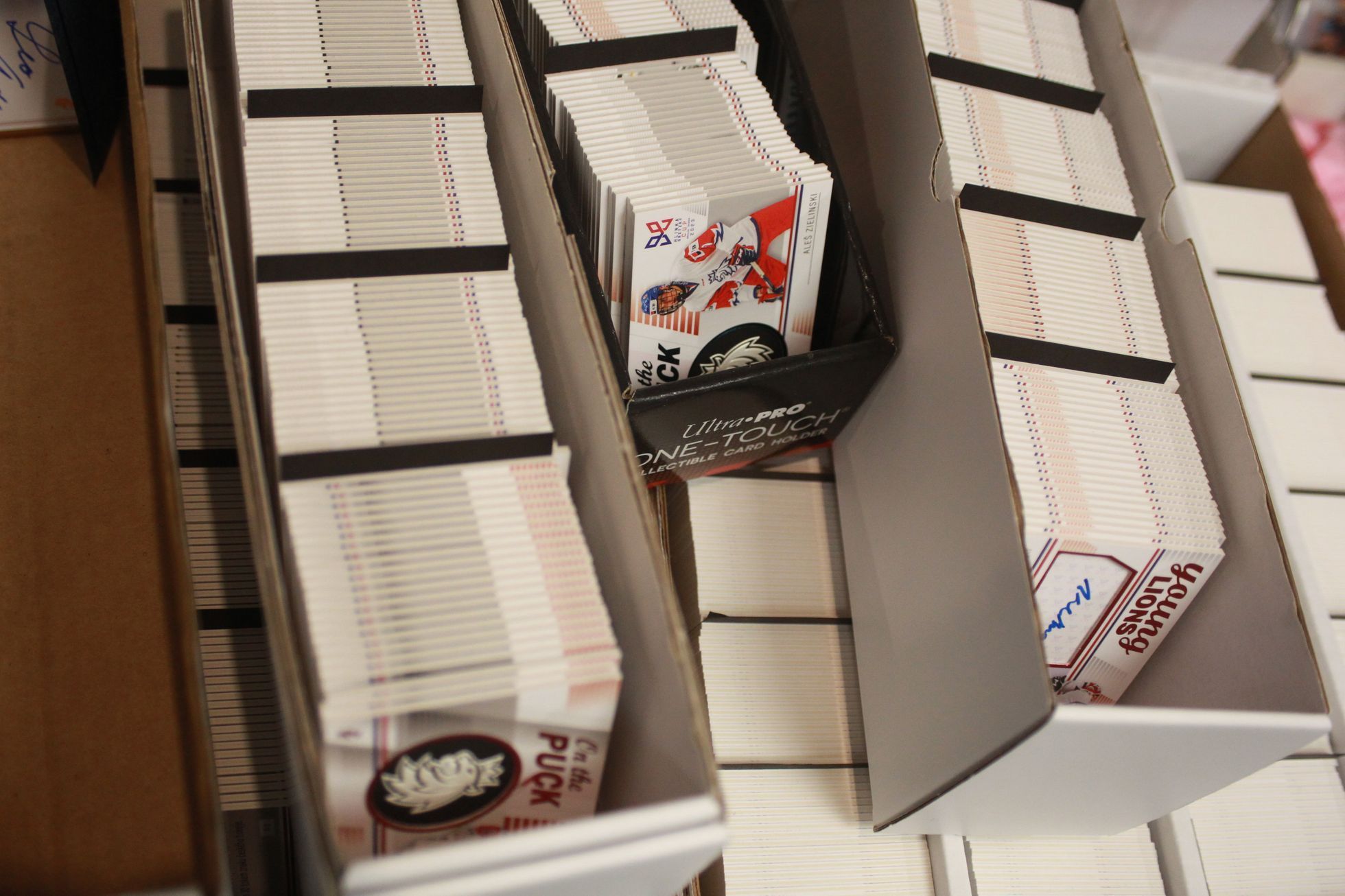 Sportovní hala v Holešovicích, 2023