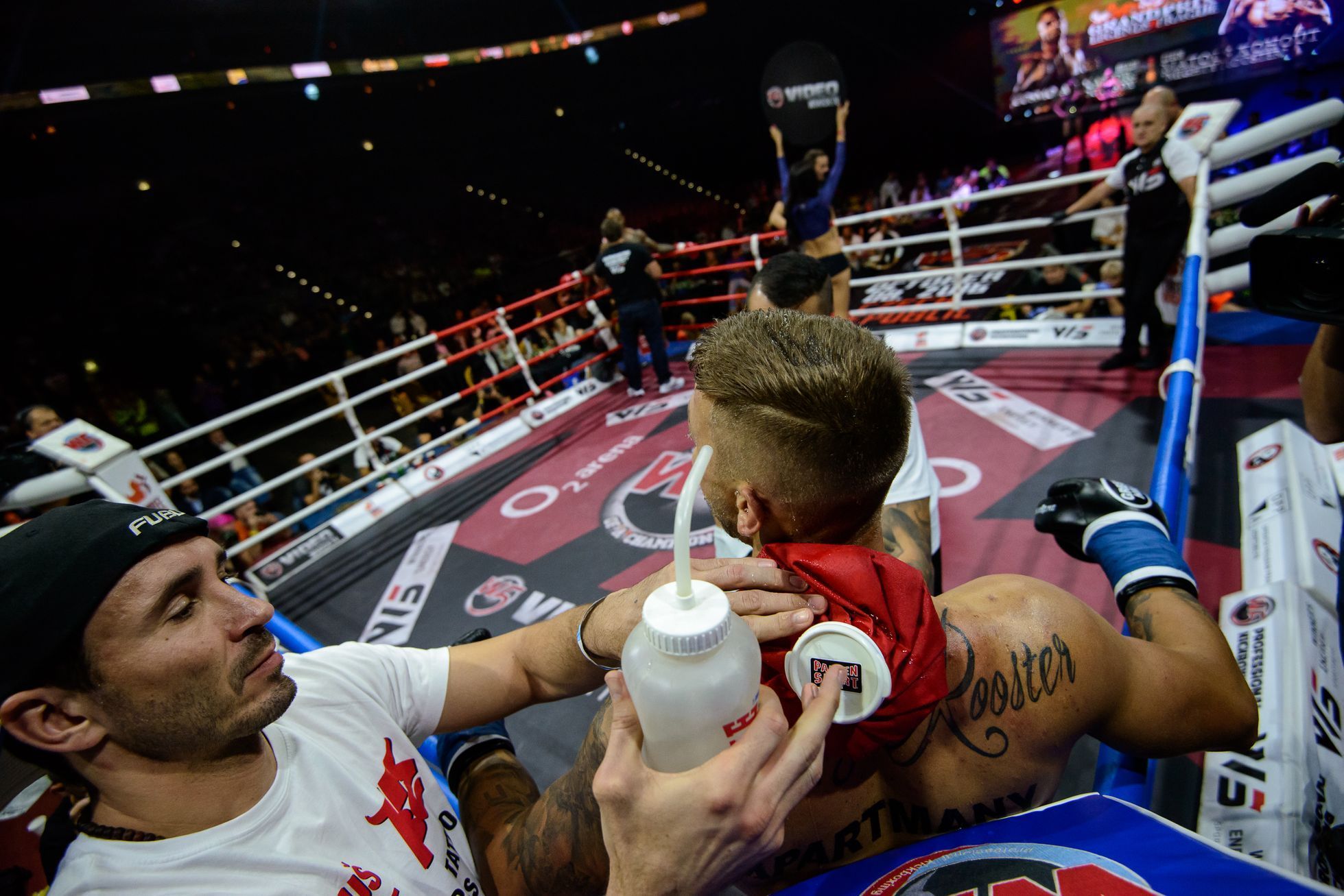Kickbox, galavečer W5: Legens in Prague