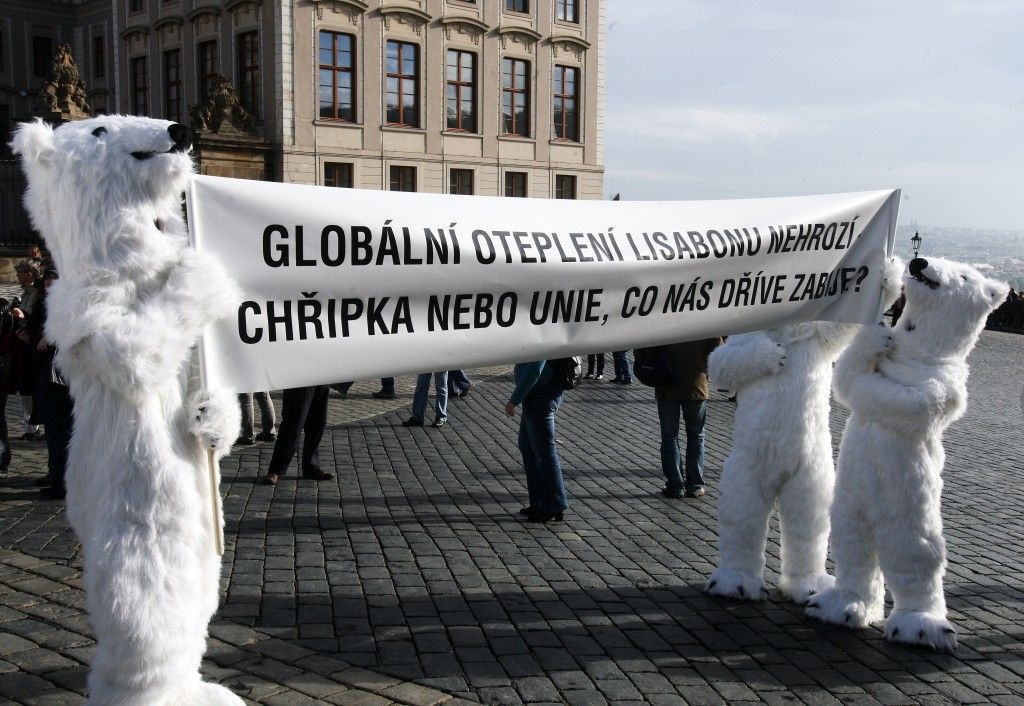 Demonstrace ledních medvědů