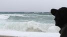 A man looks on at Beach Bahoruco, where a strong swell announces the arrival of Tropical Storm Isaac in Barahona August 24 2012. Tropical Storm Isaac headed towards the Dominican Republic and Haiti on Friday, rumbling slowly west across the Caribbean after unleashing heavy rain on parts of Puerto Rico. REUTERS/Ricardo Rojas (DOMINICAN REPUBLIC - Tags: DISASTER ENVIRONMENT) Published: Srp. 24, 2012, 4:10 odp.