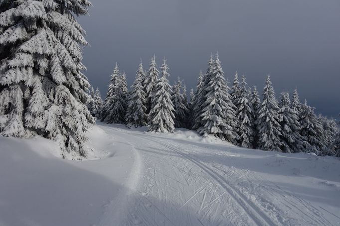 Běžkařská trasa, jež vede pod Velkou Deštnou, nejvyšším vrcholem Orlických hor.