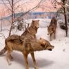 10/12|Fotogalerie: Lesk falešných realit / Jednorázová licence, nepoužívat v článcích!!!