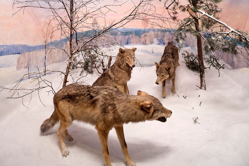 10/12|Fotogalerie: Lesk falešných realit / Jednorázová licence, nepoužívat v článcích!!!