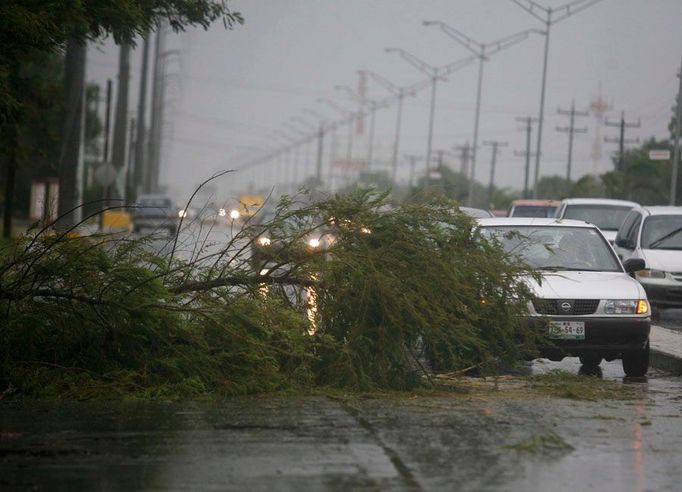 Snímek z mexického města Matamoros, stát Tamaulipas. Alex tu už lámal stromy.