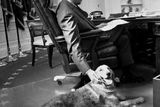 Gerald Ford ve své pracovně v Bílém domě.