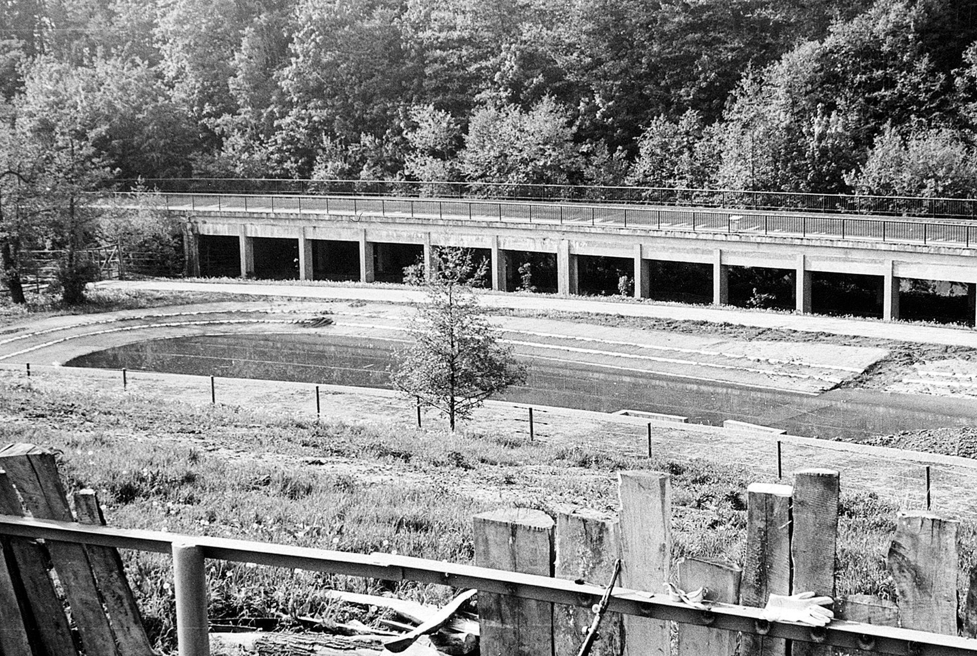 Jednorázové užití / Fotogalerie / ZOO Dvůr Králové je tu už 75 let. Podívejte se na snímky z její historie