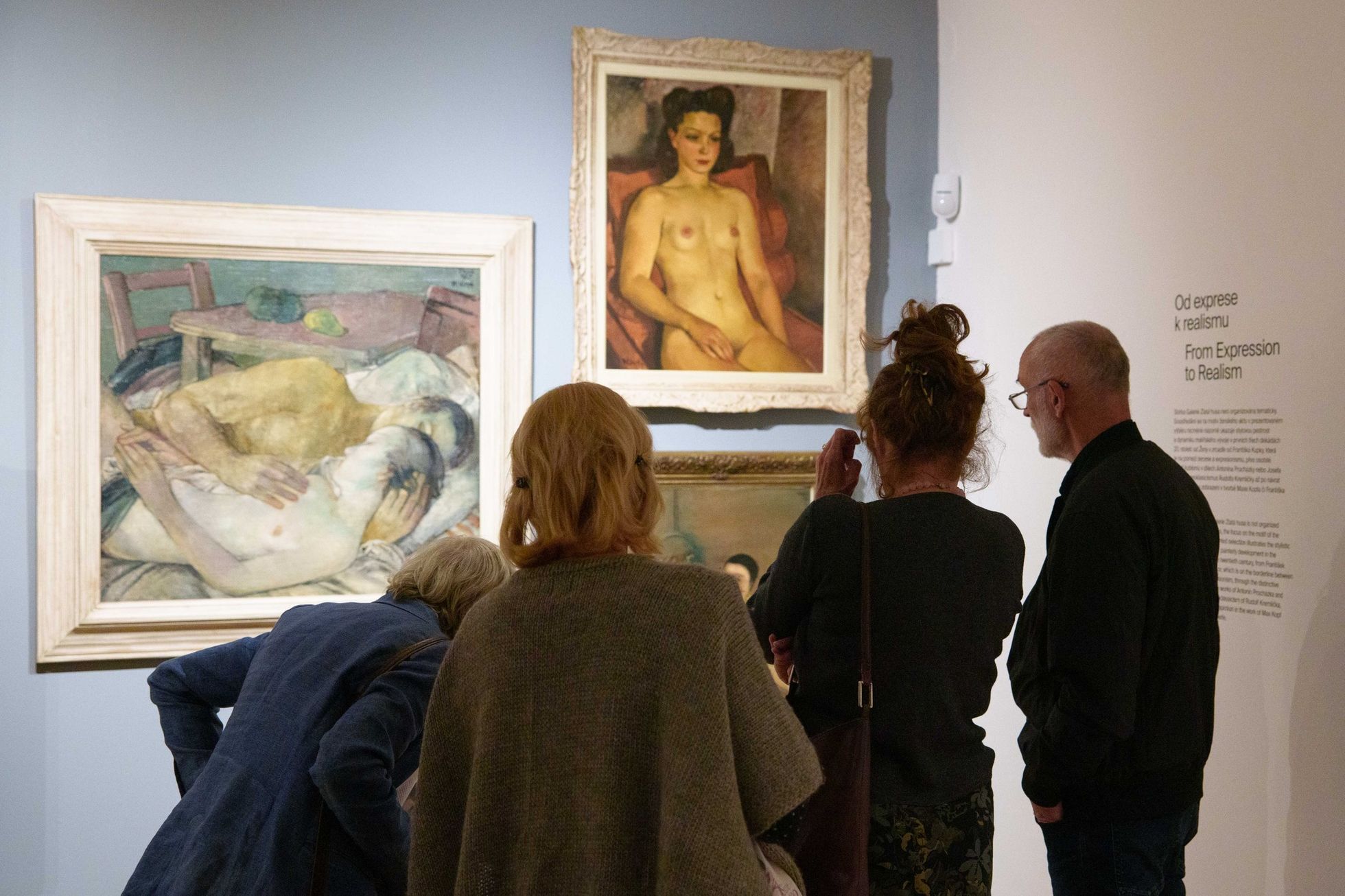 Husa na Kampě, Museum Kampa, 2024