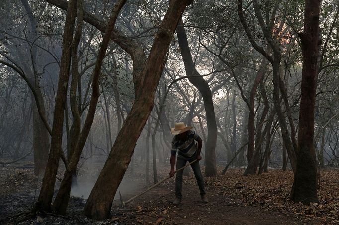 V Brazílii hoří největší mokřad světa Pantanal.