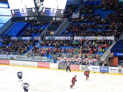 V Plzni na zápasy EUHL chodí i 1 500 diváků.