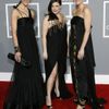 49. ročník Grammy: Dixie Chicks