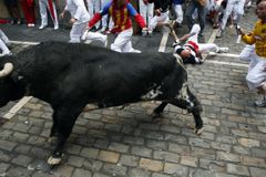 Prchající býk zranil ve Španělsku jedenáct lidí