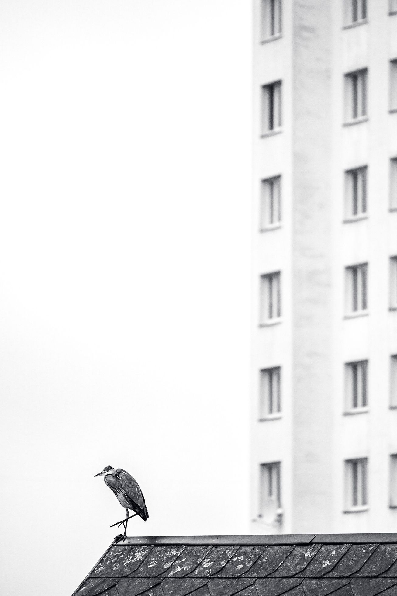 Nominace na ceny Czech Nature Photo 2022