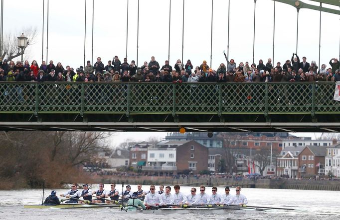 Veslování, regata Oxford - Cambridge