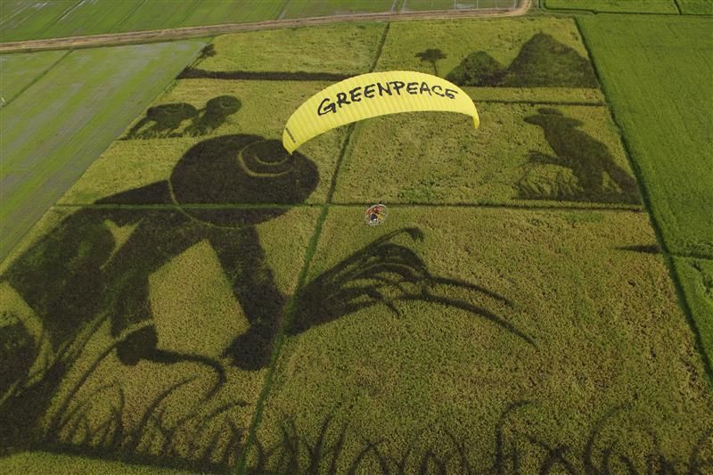 Greenpeace v akci