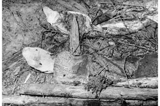 Policejní dokumentační fotografie nálezu těla šestnáctileté Moniky Ondíkové v pokročilém stádiu rozkladu, les u Konopiště, 2. srpna 1990. Oběť Jozefa Slováka.​