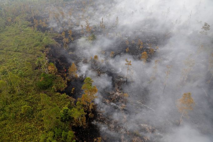 Požár v indonéském tropickém pralese. Září 2019.