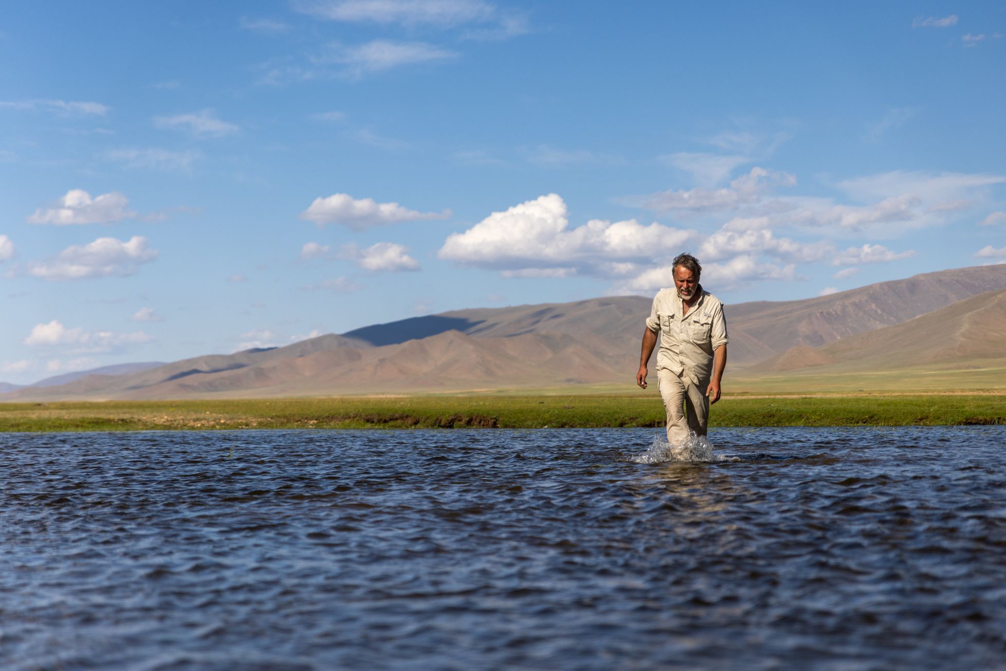 Žlutá žába pluje