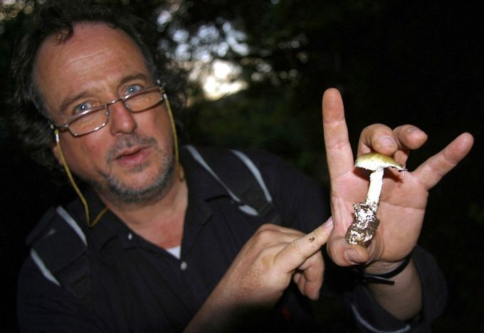 Doktor Enric Gracia drží muchomůrku zelenou (amanita phalloides) v kopcích nad Barcelonou, listopad 2005. Ilustrační snímek