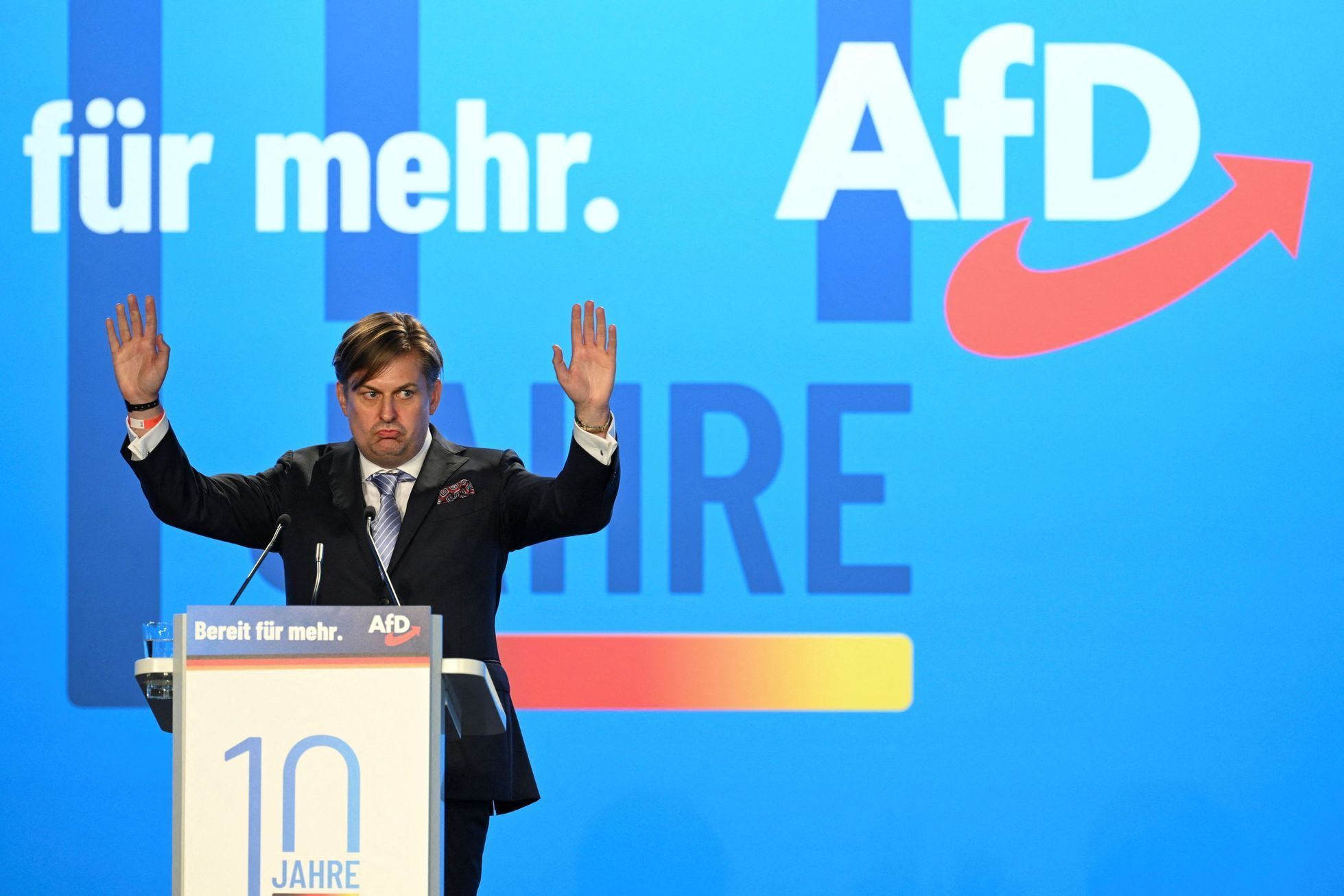 AfD alternativa pro německo evropské volby maxmilian krah
