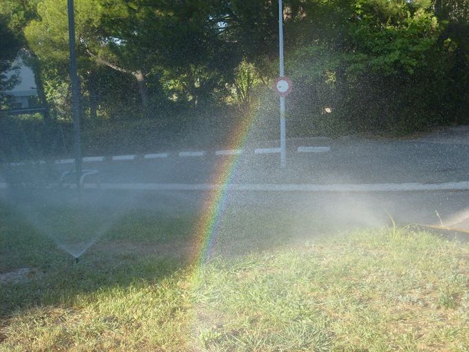 "Když jsou tropické dny, je třeba zavlažovat. Toto jsem vyfotografoval, protože se mi líbila duha vznikající na vodních kapkách," napsal Filip Drsek.