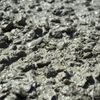 Detail čerstvého drátkobetonu STEELCRETE