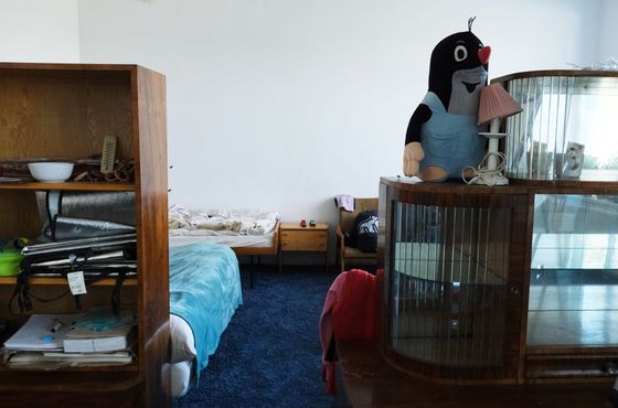 Mole, toys and mattress. Local residents donated the necessary equipment to the couple for the newly created asylum.