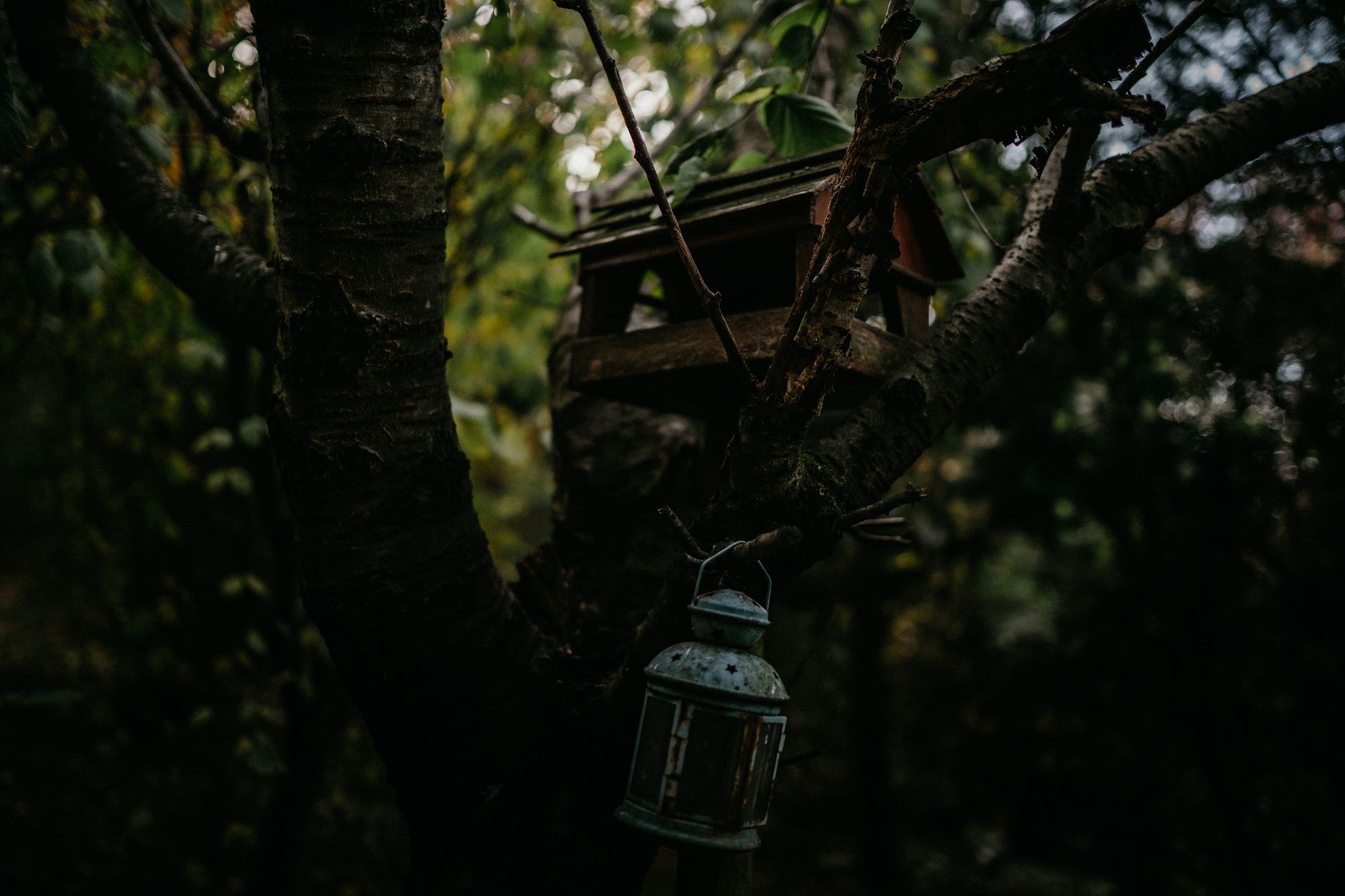 hřbitov Bohnice hřbitov bláznů