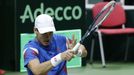 DC, Česko - Nizozemsko: Tomáš Berdych