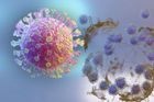 SARS-CoV-2 zblízka: Podívejte se, jak virus zabíjí buňky a množí se v těle