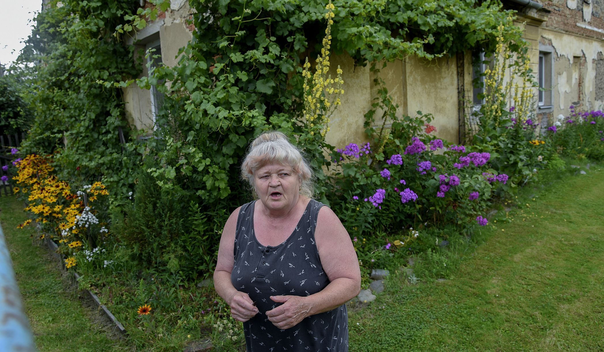 Lesy severní a střední Moravy se v posledních letech dostaly kvůli kůrovci a suchu do kalamitního stavu.