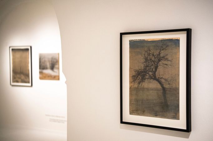 Snímek z výstavy děl Siegfrieda Herze.