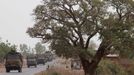 A convoy of French military vehicles heads toward Sevare in the village of Somadougou January 25, 2013. REUTERS/Eric Gaillard (MALI - Tags: CIVIL UNREST CONFLICT MILITARY) Published: Led. 25, 2013, 8:15 odp.