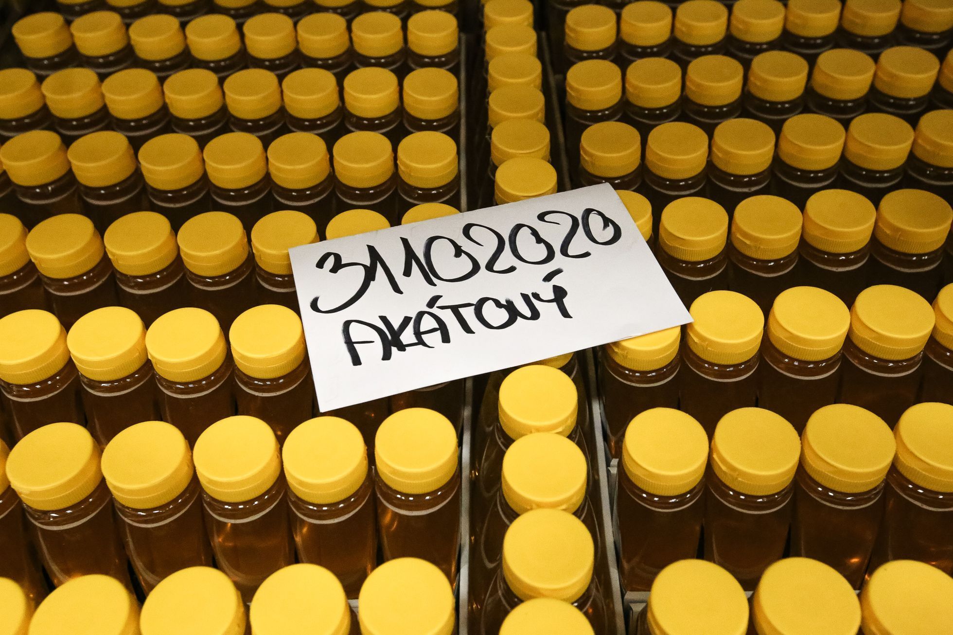 Největší továrna na stáčení medu v Česku - Medokomerc