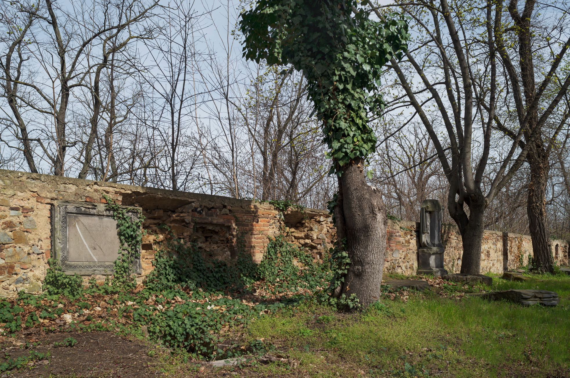 Hřbitov Na Skalce