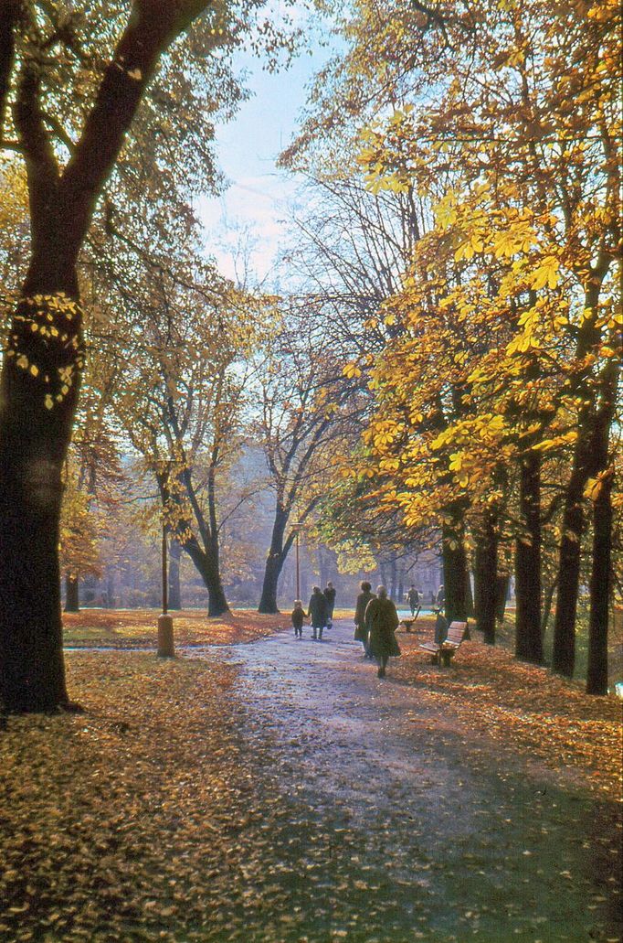 Kaštany v parku Na sadech. Říjen 1964.