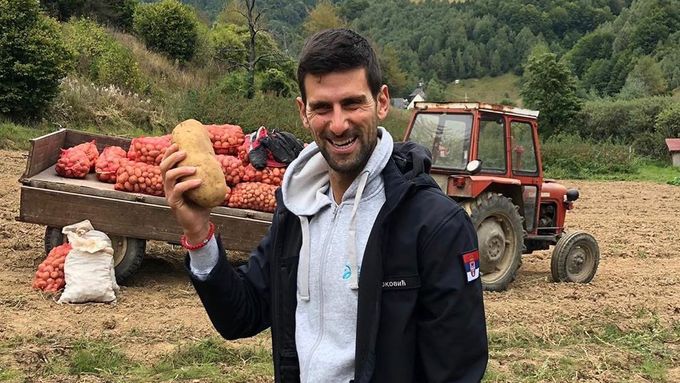 Zraněný Djokovič doma v Srbsku sbírá brambory. Sledujte Sportovní Sociál